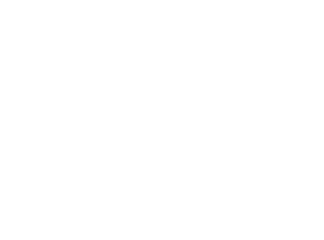 Guerre di Rete